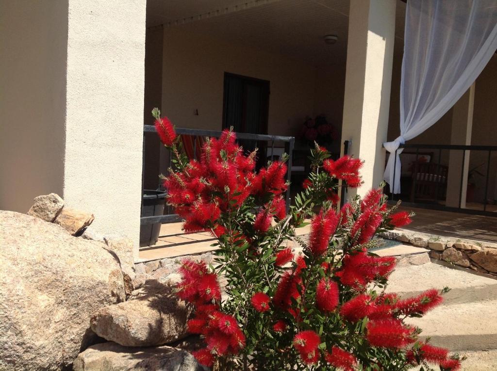 Hotel Brise Marine Bonifacio  Zewnętrze zdjęcie